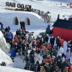 Rose arrangement 2024